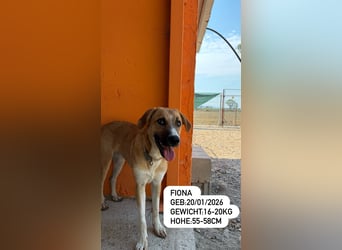 Fiona ist jung, gesund und bereit für die Welt