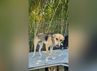 Lila (2) wünscht sich eine Familie