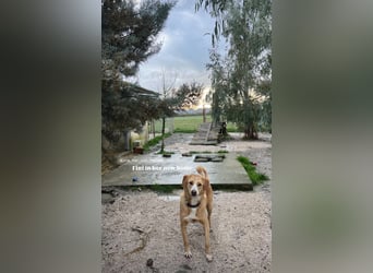 Finy (3) freut sich auf eine liebevolle Familie