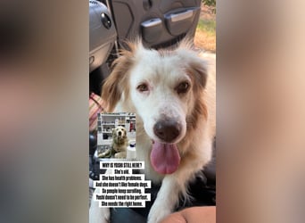 Yoshi (9) sucht einen ruhigen Platz