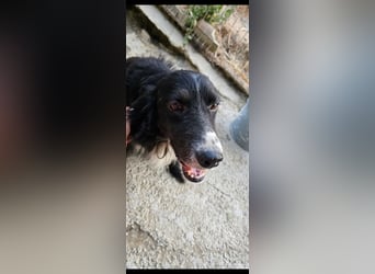 Lori sucht eine Familie