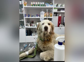 Yoshi (9) sucht einen ruhigen Platz