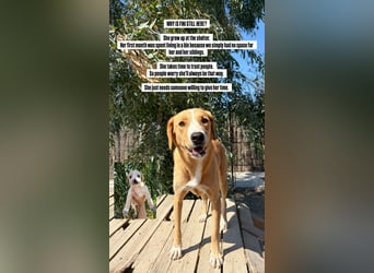 Finy (3) freut sich auf eine liebevolle Familie