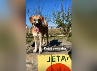Fiona ist jung, gesund und bereit für die Welt