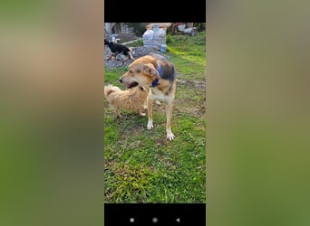 Lila (2) wünscht sich eine Familie