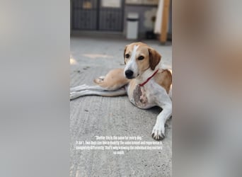 Emma (4) ist bereit für einen Neustart