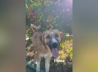 Fiona ist jung, gesund und bereit für die Welt