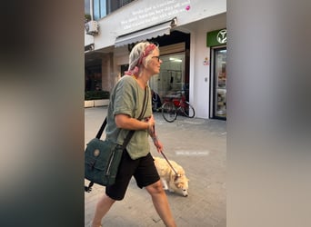Josie (8) sucht einen Platz zum Entspannen