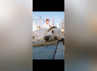 Alberta (3) wartet auf Dich