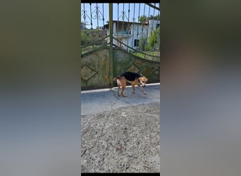 Lila (2) wünscht sich eine Familie