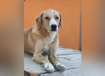 Finy (3) freut sich auf eine liebevolle Familie
