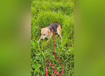 Lila (2) wünscht sich eine Familie