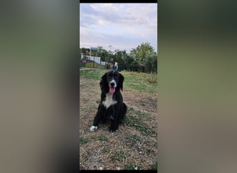 Lori sucht eine Familie