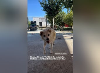 Josie (8) sucht einen Platz zum Entspannen