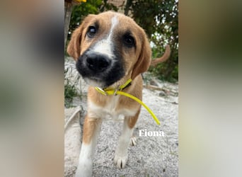 Fiona ist jung, gesund und bereit für die Welt
