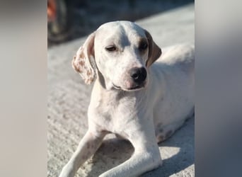 Murphy (3) sucht Ihr Happy End