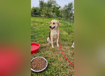 Lila (2) wünscht sich eine Familie