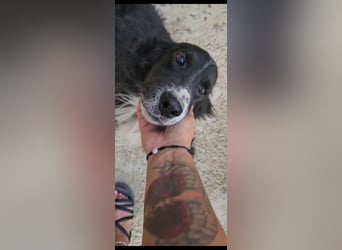 Lori sucht eine Familie