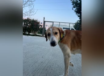Emma (4) ist bereit für einen Neustart