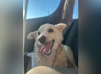 Josie (8) sucht einen Platz zum Entspannen
