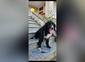 Lori sucht eine Familie