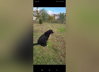 Lori sucht eine Familie