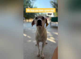Murphy (3) sucht Ihr Happy End