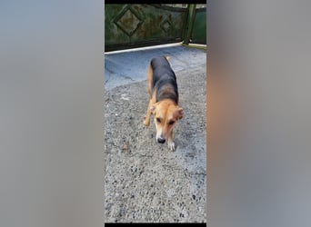 Lila (2) wünscht sich eine Familie