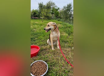 Lila (2) wünscht sich eine Familie