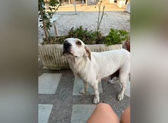 Murphy (3) sucht Ihr Happy End
