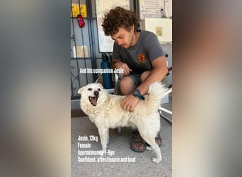 Josie (8) sucht einen Platz zum Entspannen