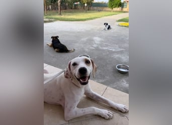 Murphy (3) sucht Ihr Happy End