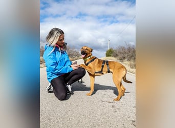 Joschi – ein Freund fürs Leben