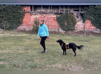 Blacky - Das Glück zum Greifen nah (15938 Drahnsdorf)