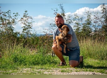 Aimi möchte Teil eurer Familie werden (81539 München)