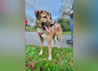 Rey wünscht sich eine eigene Familie (15938 Drahnsdorf)