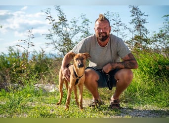 Joschi – ein Freund fürs Leben