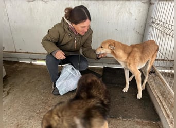 TOFU sucht ein Zuhause