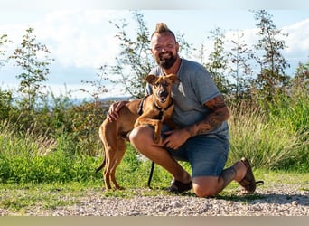 Joschi – ein Freund fürs Leben