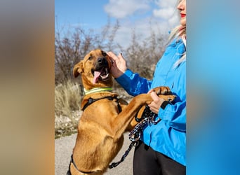 Joschi – ein Freund fürs Leben