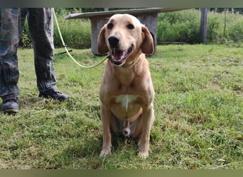 Charlie - Wer nimmt sich Zeit, ihn kennenzulernen? (07806 Weira)