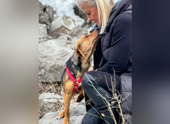 Elara möchte Teil eurer Familie werden (85591 Vaterstetten)