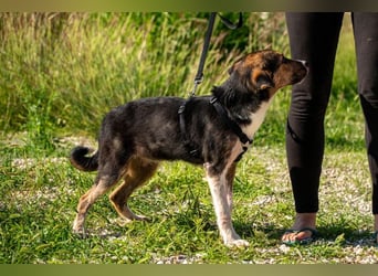 Rixa - Zauberhafte Schwestern suchen ihr Zuhause (77652 Offenburg)