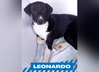 Leonardo