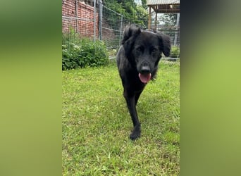 Blacky - Das Glück zum Greifen nah (15938 Drahnsdorf)