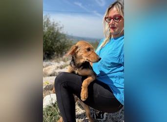 Elara möchte Teil eurer Familie werden (85591 Vaterstetten)