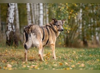 Freundliche Najda sucht ihre Familie