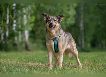 Freundliche Nadja sucht ihre Familie