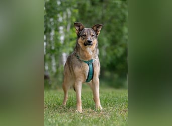 Freundliche Nadja sucht ihre Familie