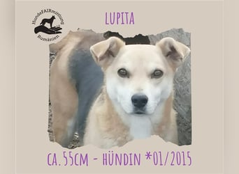 Lupita - sehr liebes Mädchen im besten Alter